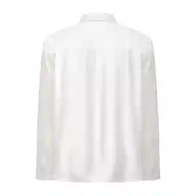 DESATURATE Metal Collar Shirt Long Sleeve