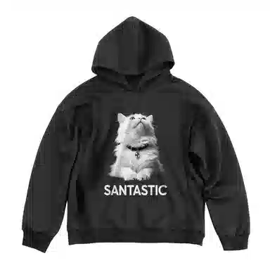SANTASTIC