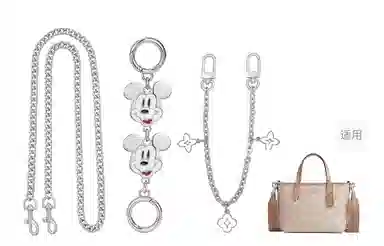 Disney COACH city15 diy