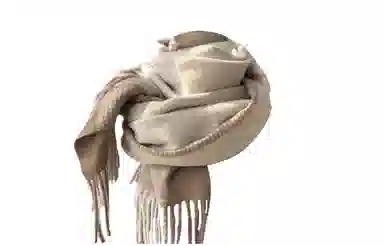 Cranta Komeia