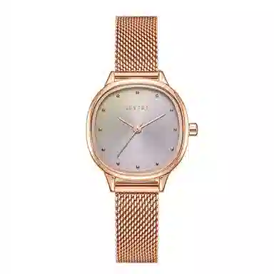 FEYERT ins 30 D202130