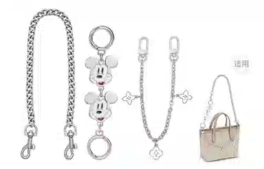 Disney COACH city15 diy