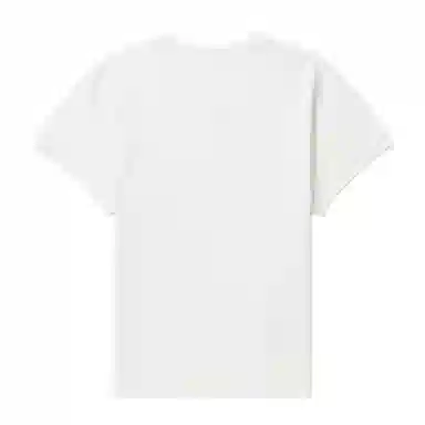 alexander wang Logo T