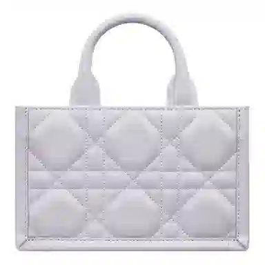 DIOR BookTote