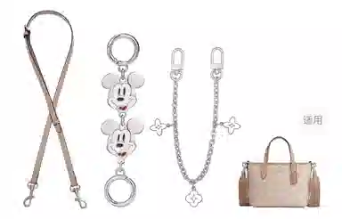 Disney COACH city15 diy