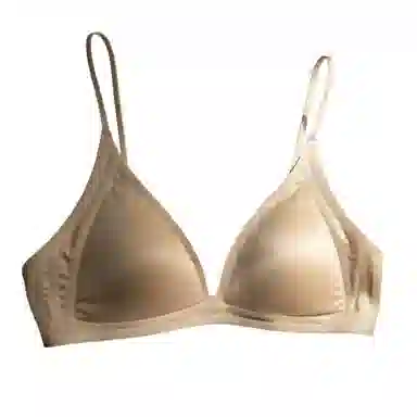 ALPLUME V