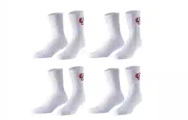 VEIDOORN SOX 4