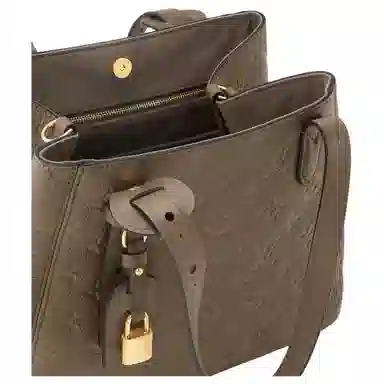 LOUIS VUITTON All In One Tote