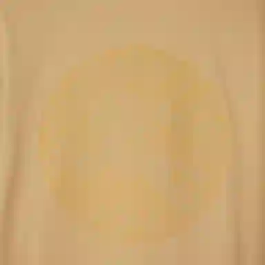 Burberry T