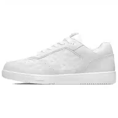 DIOR B27