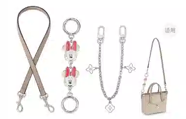 Disney COACH city15 diy