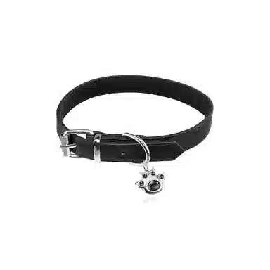 DVNRR choker y2k