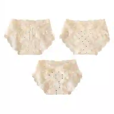 二三二三 日系甜美交叉蕾丝花边少女轻薄透气亲肤柔软舒适小碎花纯欲清新日常简约百搭短裤组合装三角内裤 女款