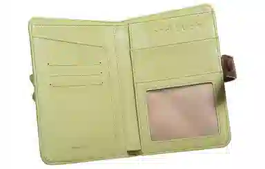 TOUTOU PU