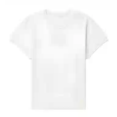 alexander wang Logo T