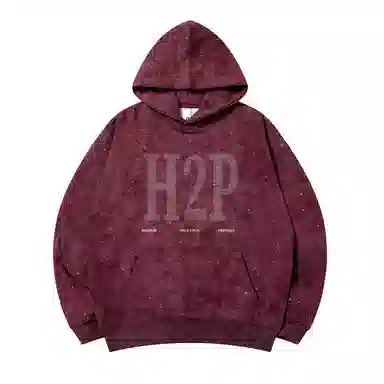 H2P logo