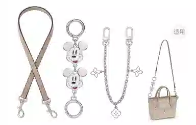 Disney COACH city15 diy