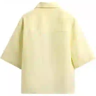 ZARA Polo