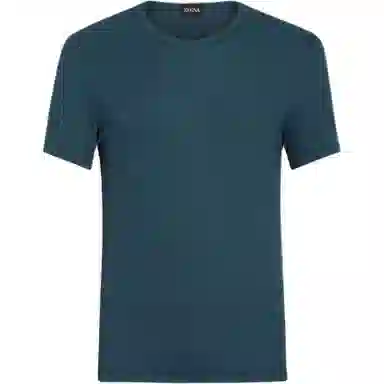 Zegna T