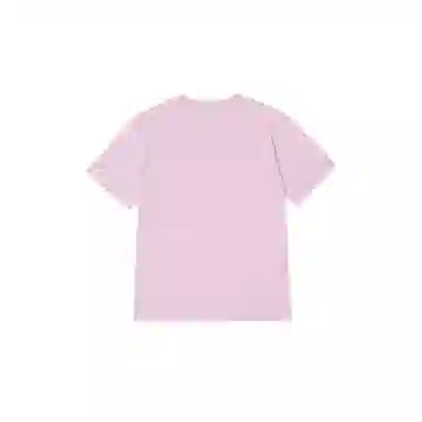 THE MUSEUM VISITOR T