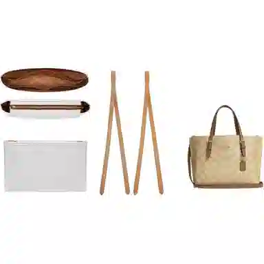 jingxi mollie25coach