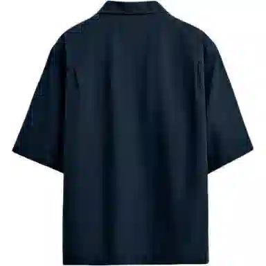 ZARA Polo