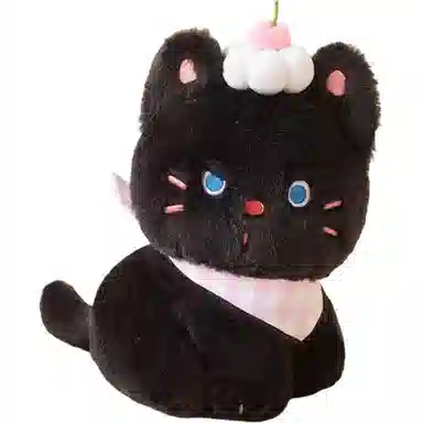 25cm