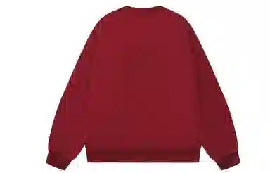 Kawasaki 320gCleanfit