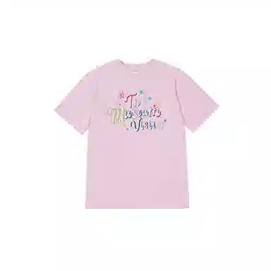 THE MUSEUM VISITOR T