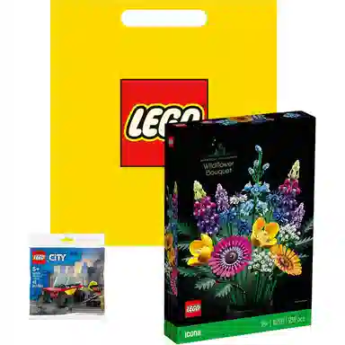 LEGO Icons 10313