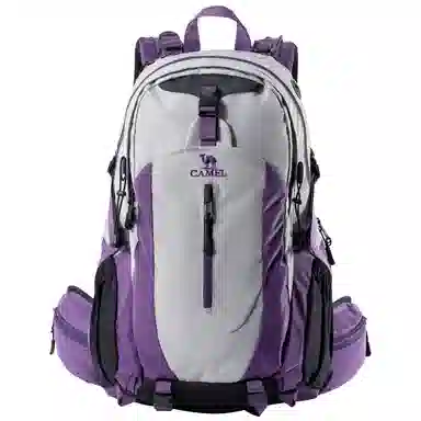 CAMEL Backpack
