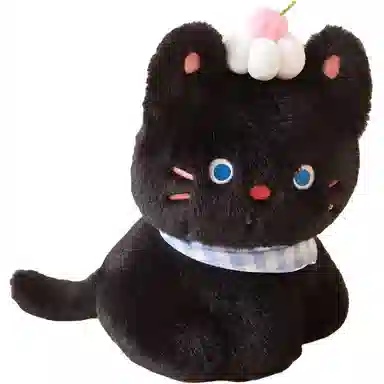 25cm