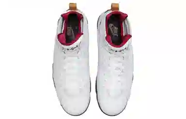 Jordan Air Jordan 7 retro "cardinal"