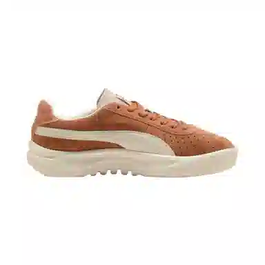 PUMA GV