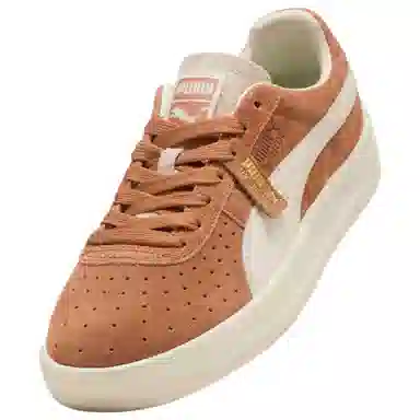 PUMA GV