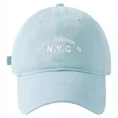 PLAN IN NYC