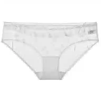 MY BODY Romantic Sheer Triangle Panties