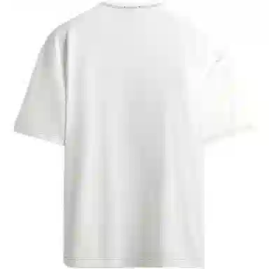 ZARA T