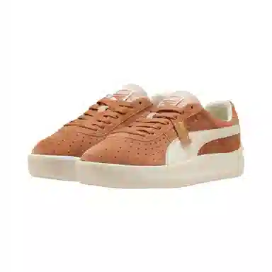 PUMA GV