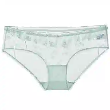 MY BODY Romantic Sheer Triangle Panties