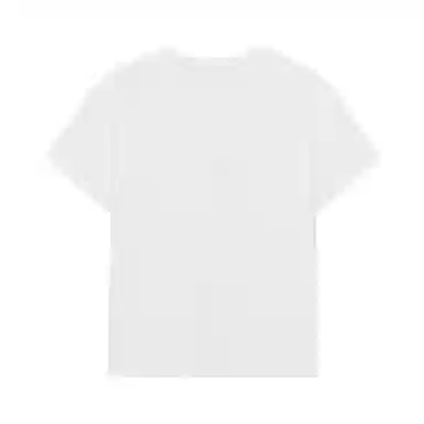 Palladium T