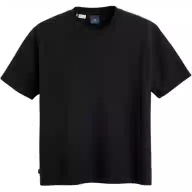 levis T