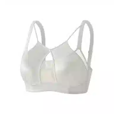 二三二三 轻奢性感镂空网纱纯欲豹纹内衣亲肤舒适透气不闷汗氛围感胸罩柔软清凉聚拢防下垂美背潮流时尚百搭日常无钢圈文胸 女款