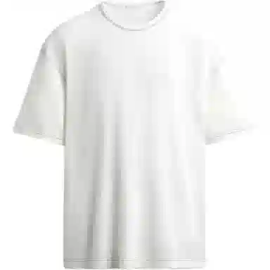 ZARA T