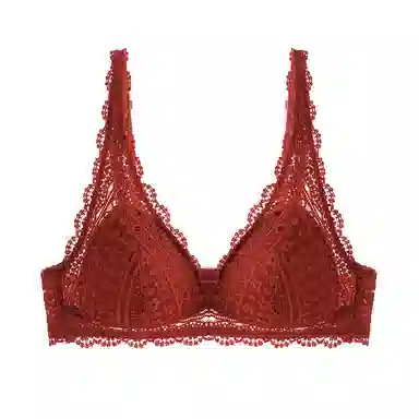 内在密码 本命年内衣女蕾丝性感小胸三角杯无钢圈上托防垂结婚新娘文胸 女款