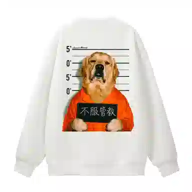 SUNSETMONENT 360logo