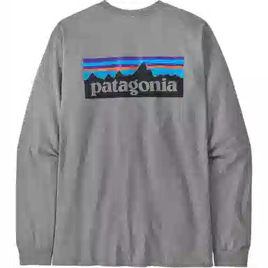 Patagonia P-6 Responsibili Tee