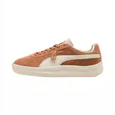PUMA GV
