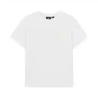 Palladium T