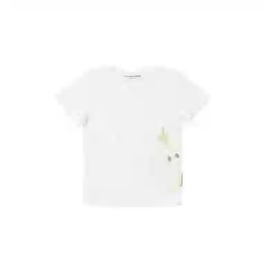 THE MUSEUM VISITOR T